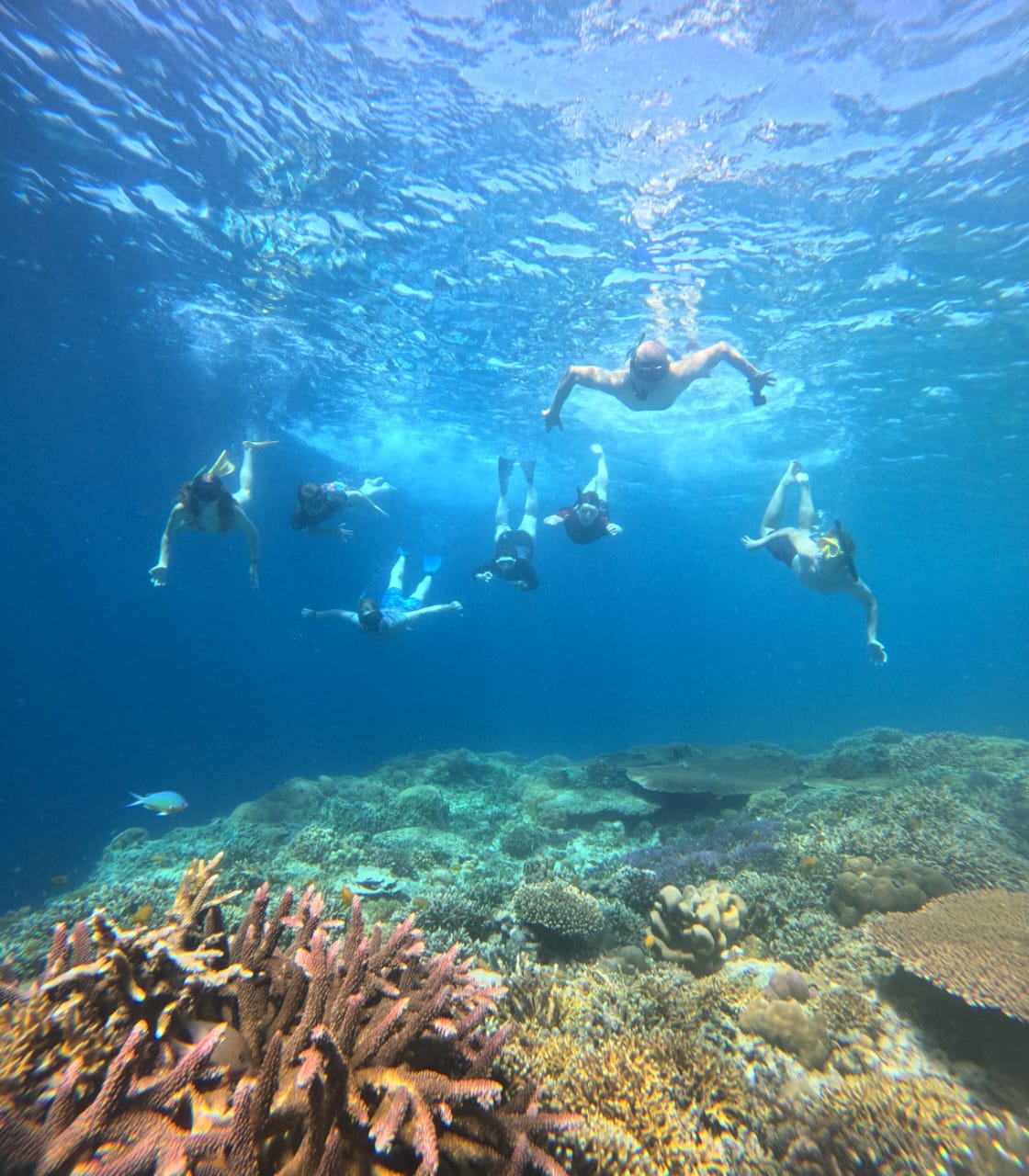 Snorkling Gili Lombok